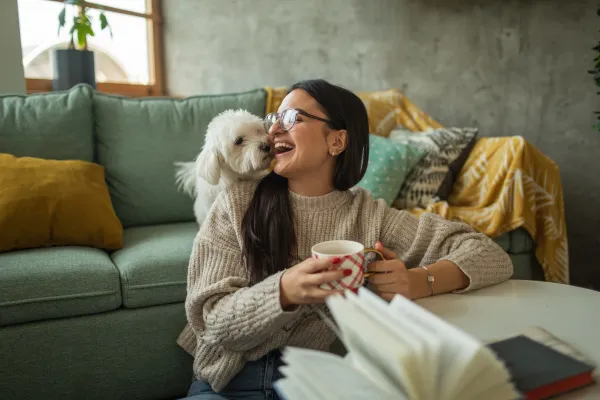 A woman drinking coffee at home and laughing while getting a kiss from her small, cute white dog