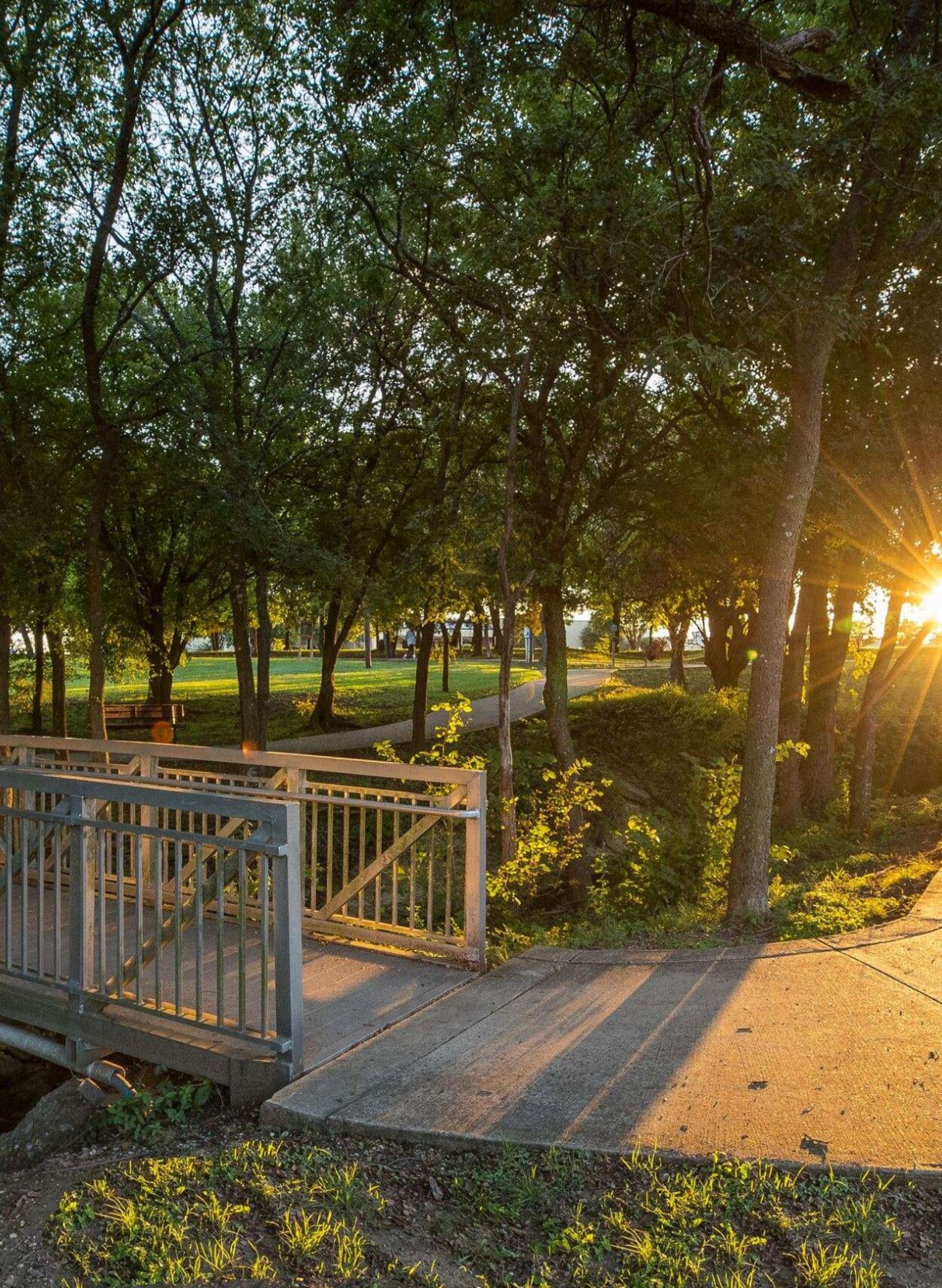 Red Oak, TX with a green park with a bridge and lots of mature trees